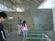 野島断層