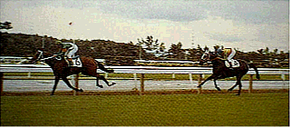 【希少！】名馬列伝 シンボリルドルフ／光栄出版部(編) 名馬列伝・シンボリルドルフ | 光栄出版部 |本 | 通販 | Amazon