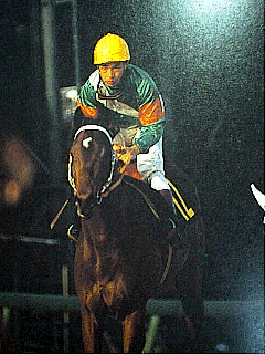 名馬列伝・シンボリルドルフ