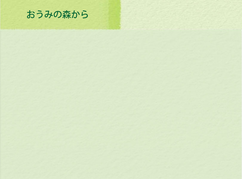 おうみの森を知りたい