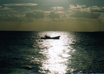 早朝の漁船