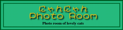 ɂɂPhotoRoom