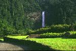 Photo:Nachi waterfall