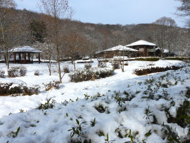 ぐんまこどもの国にて