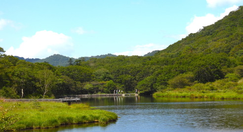 赤城山の覚満淵