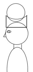 頭に載せた様子