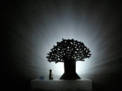 光と影の樹
