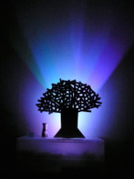 イルミネーションライトと光と影の樹