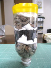 国境なき医師団のタイプ