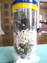 ＨＯＮＤＡＫｉｄｓのタイプ