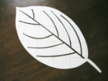 木の葉の型紙