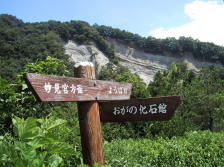 秩父の小鹿野町の化石の取れるところ