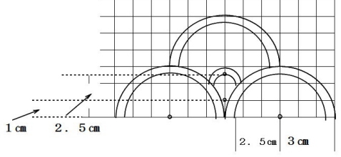 鱗の複雑型の寸法図