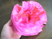 お花紙の色染め