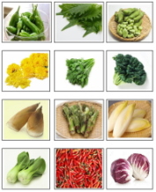 新・野菜カード
