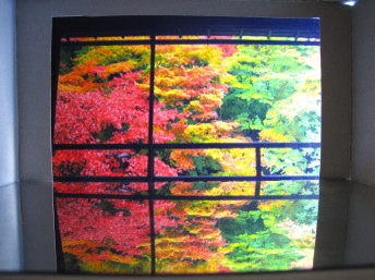 床に映る紅葉