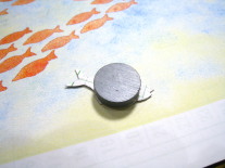 スイミーの裏側にマグネット