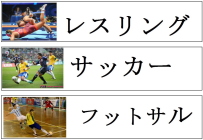 スポーツカード