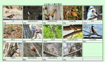 野鳥図鑑