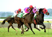 �`�A�Y�V���^���N(��O)