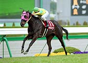 �T�N�Z�X�r���[�e�B���t�B���[�Y���r���[�D��