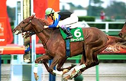 �u���[�C�������������X�|�[�c�t�Q�΂r�D��