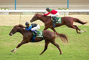 �T�C�����g�f�B�[�����V���U���L�O�D��