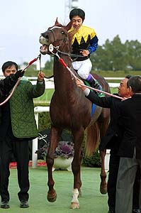 ���^�J�����N���d�܂u�Ƀj�b�R��