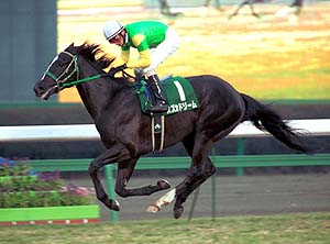 �X�Y�J�h���[���������t����