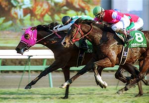 �����g�D�U�t���[�Y�������ʐM�t�u