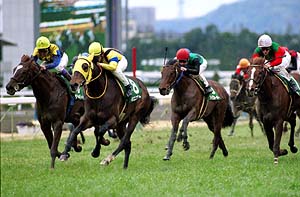 �l�I���j���@�[�X�������炬�ܐ��e