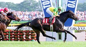 �[���m���u���C���t��V