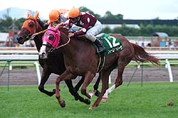 �t�B�[���h�D���[�������قQ�΂r�D��