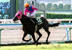 ���C�V���E�{�[���[�����q�Q�΂r�D��