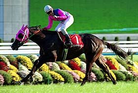 ���C�V���E�{�[���[���f�C���[�t�Q�΂r�D��