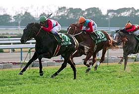 �O���[�g�W���[�j�[���d�܏����e