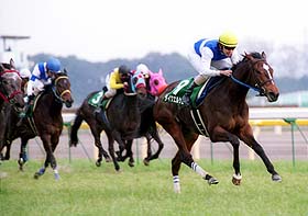 �_�C���G���V�G�[�����N�C�[���b�D��