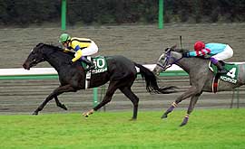 �_���X�C���U���[�h�R�A���ŏd�܏����e