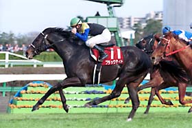 �u���b�N�^�C�h���X�v�����O�r�D��