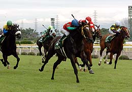 �}�C�l�����R���g���R�A���ŏd�܂u