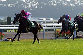 ���C���N���t�g���t�@���^�W�[�r�D��