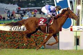 �X�L�b�v�W���b�N�������t�Q�΂r�D��