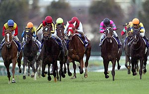 �V���E�i���p���g������_�i�e�D��