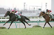 ���@�[�~���A��