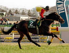 �X�g�[�~�[�J�t�F�������ʐM�t�œ����؂�V