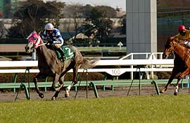 �f�B�[�v�T�}�[���N���X�^���b�D��