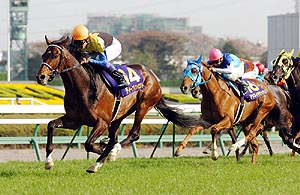 �܂��͂P���I�f�B�[�v�C���p�N�g