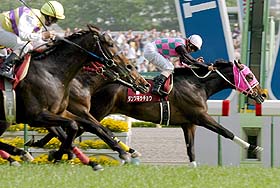 �_���c�L�b�`���E���t�ܗD��