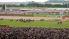 �P�S���l�̑�ϏO