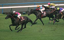 �}���J�V�F���N